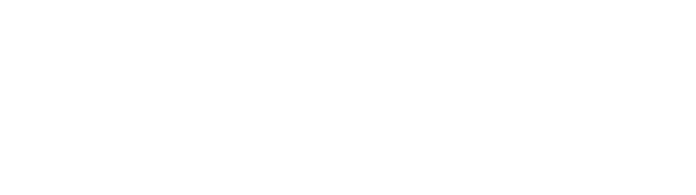 FlanoMedia Logo